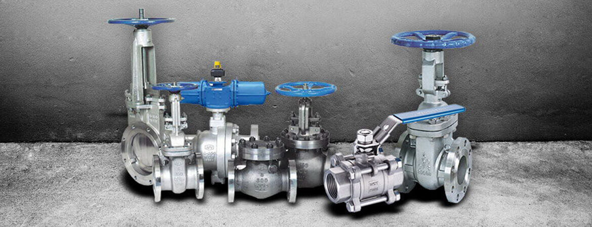 SS 310S Valves